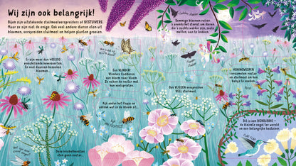 Kijk Binnen: De bijen Wereld