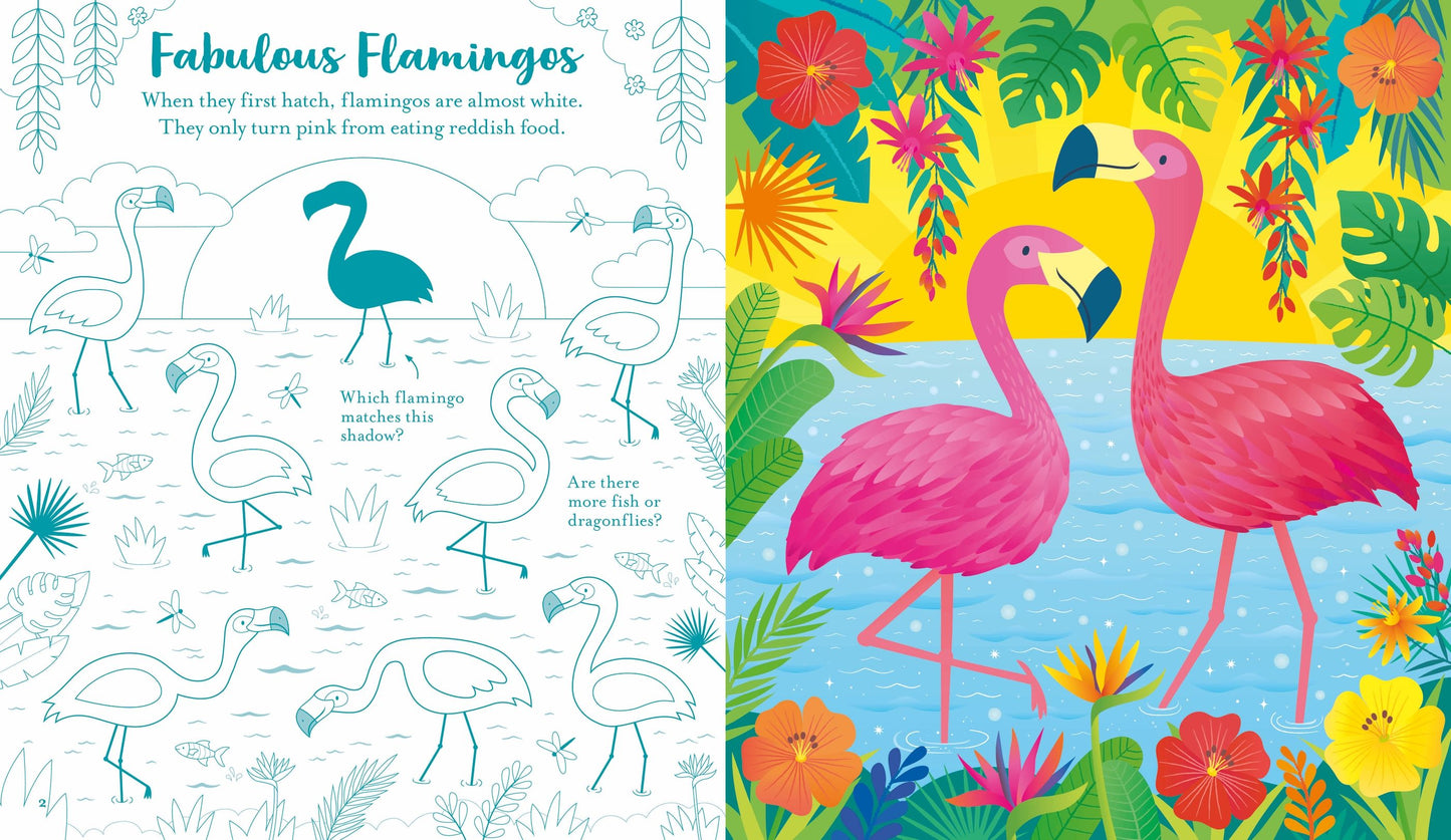 Scratch Activities - Animals