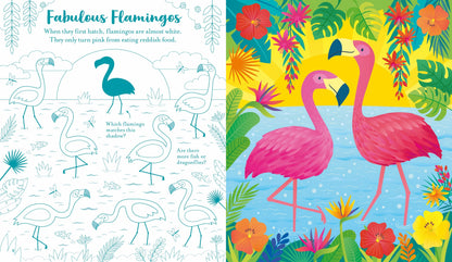 Scratch Activities - Animals