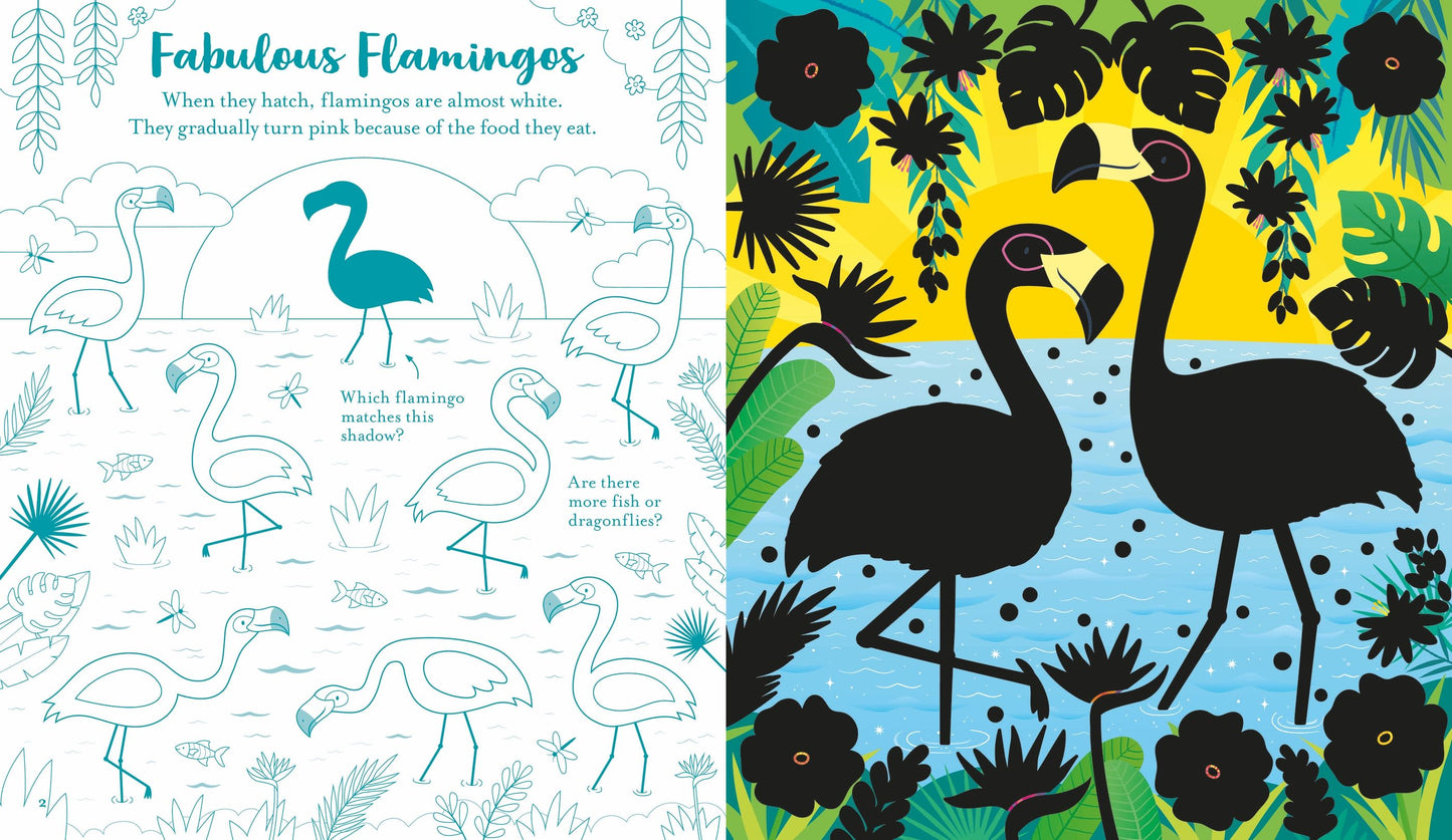 Scratch Activities - Animals