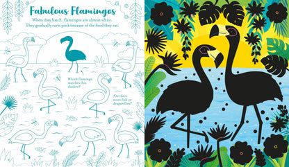 Scratch Activities - Animals