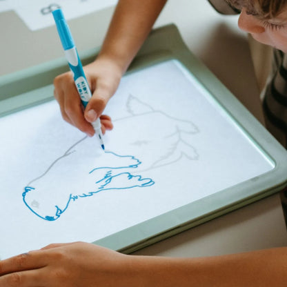 Kidydraw Pro