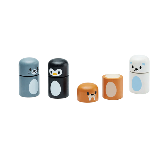 Arctische Dieren Matchen