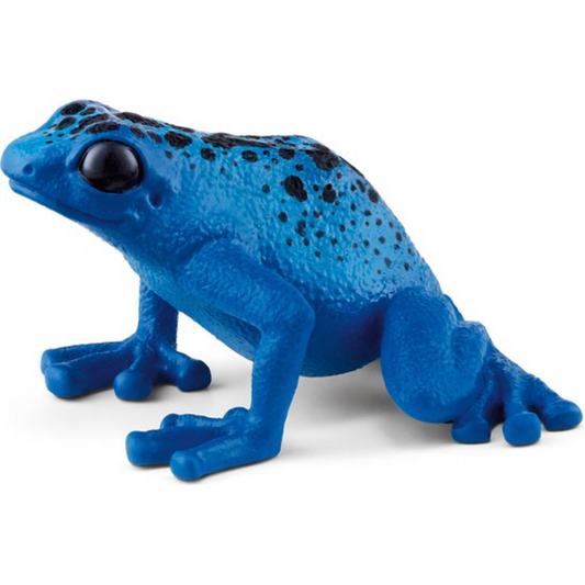 Blue poison dart frog