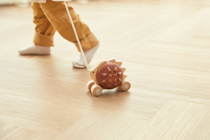 Pull Along Hedgehog