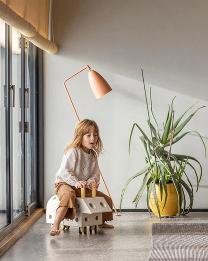 Explorer-set