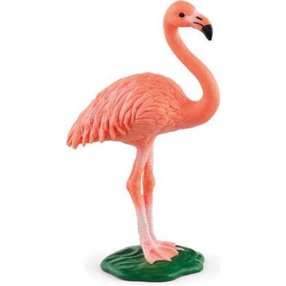 Flamant rose