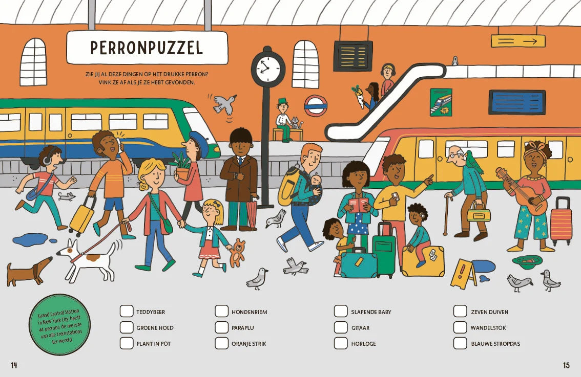 Het grote trein spelletjesboek