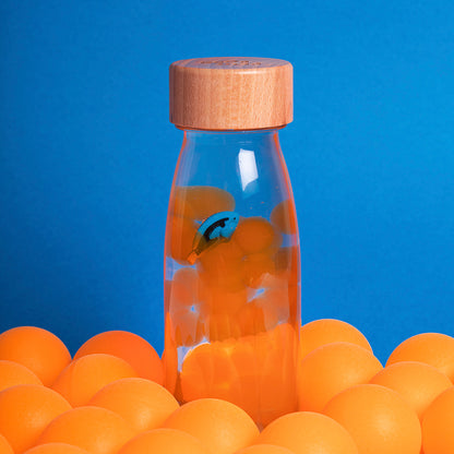 Sensory Bottles