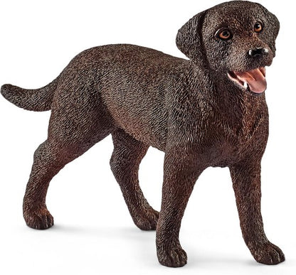 Perro labrador retriever
