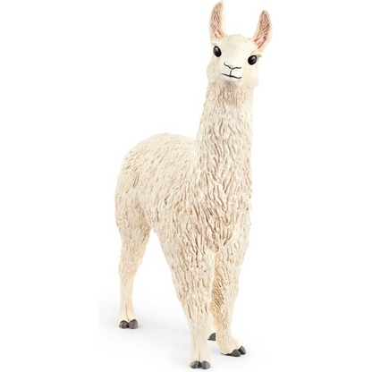 Llama
