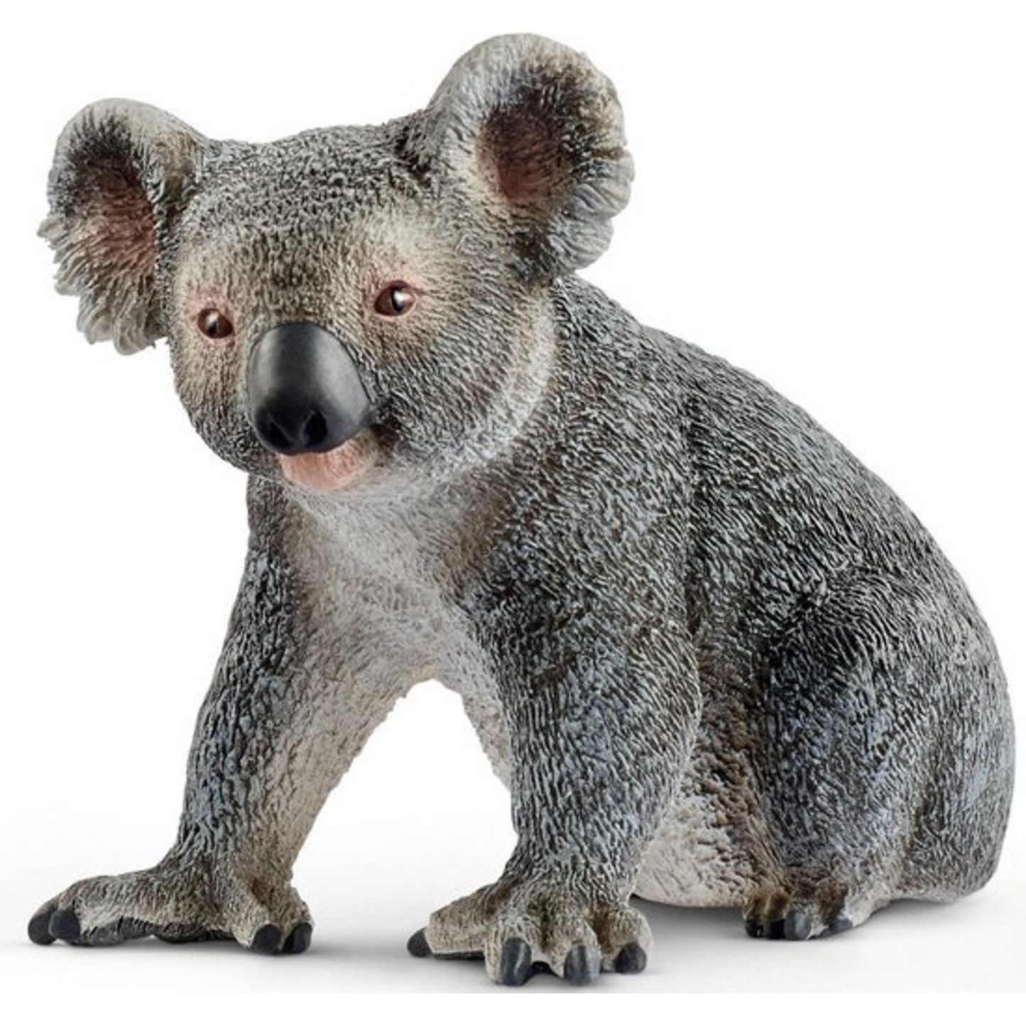 Koala bear