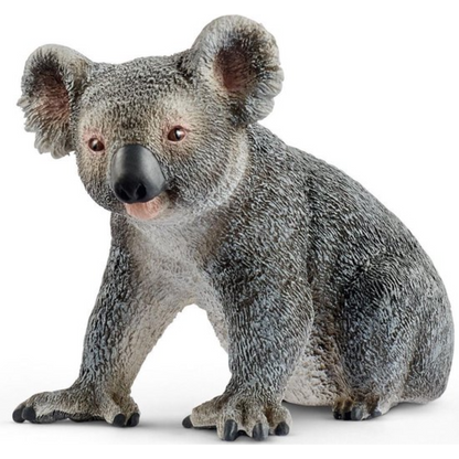 Koalabeer