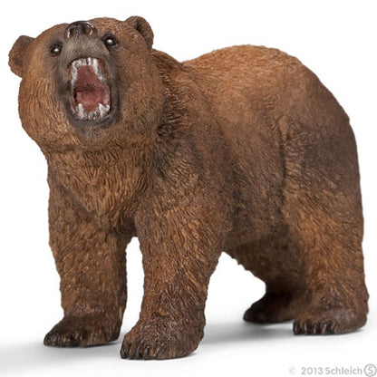 Oso pardo