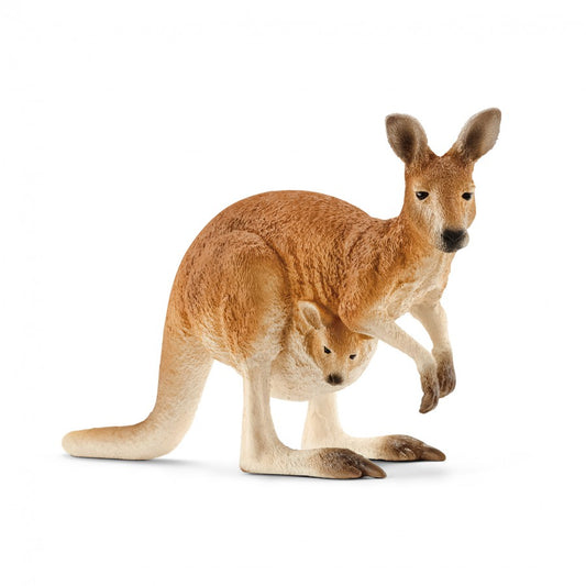 Cangaroo