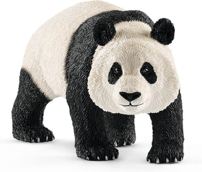 Reuzenpanda