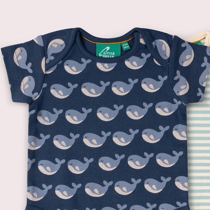 Lot de 2 bodies bébé bio Singing Whales