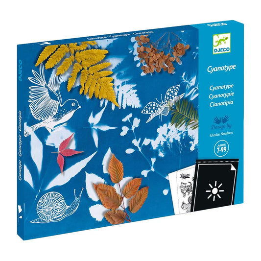 Cyanotype Starter Kit