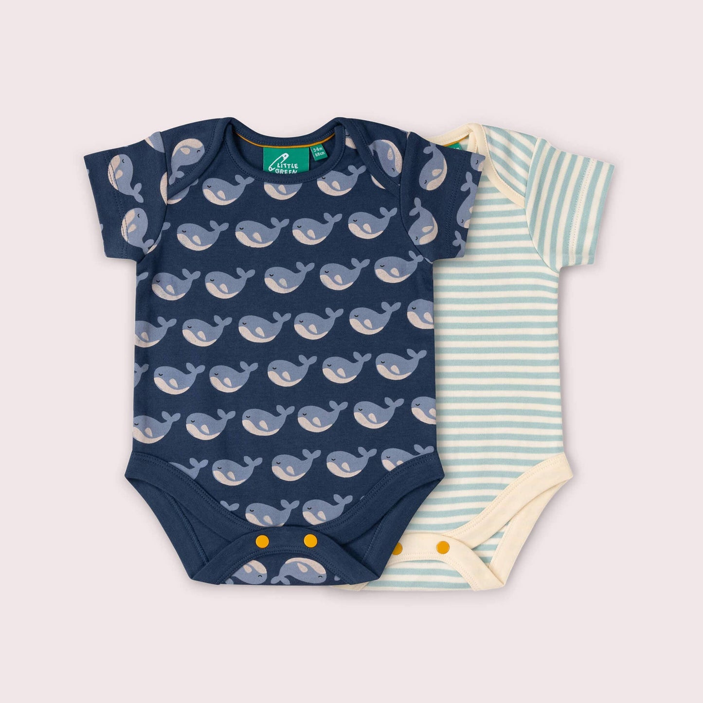 Lot de 2 bodies bébé bio Singing Whales