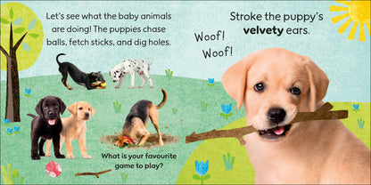 Touch and Feel Baby Animals