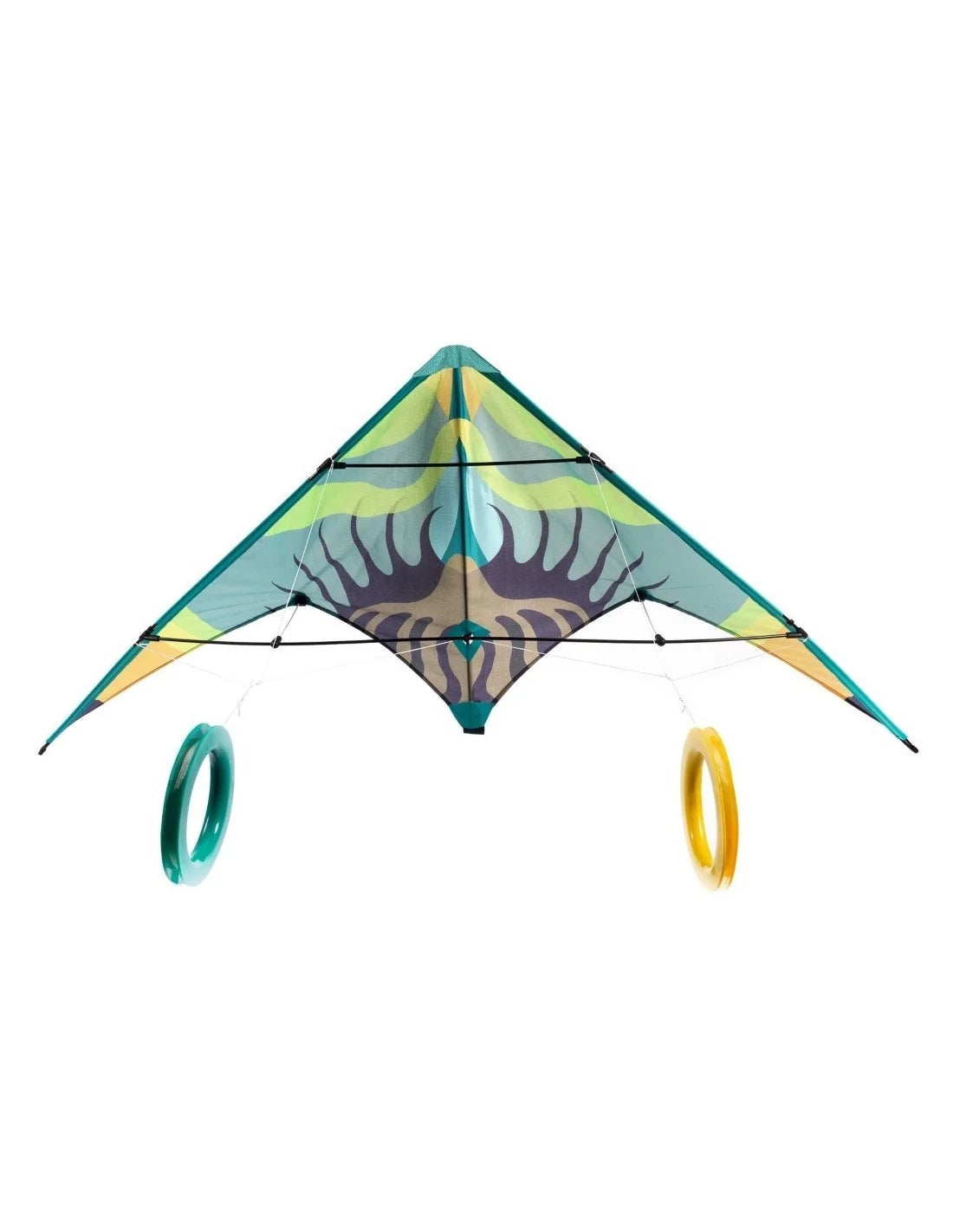 Kite