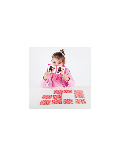 Maxi-Memory: Huisdieren