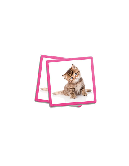 Maxi-Memory: Huisdieren