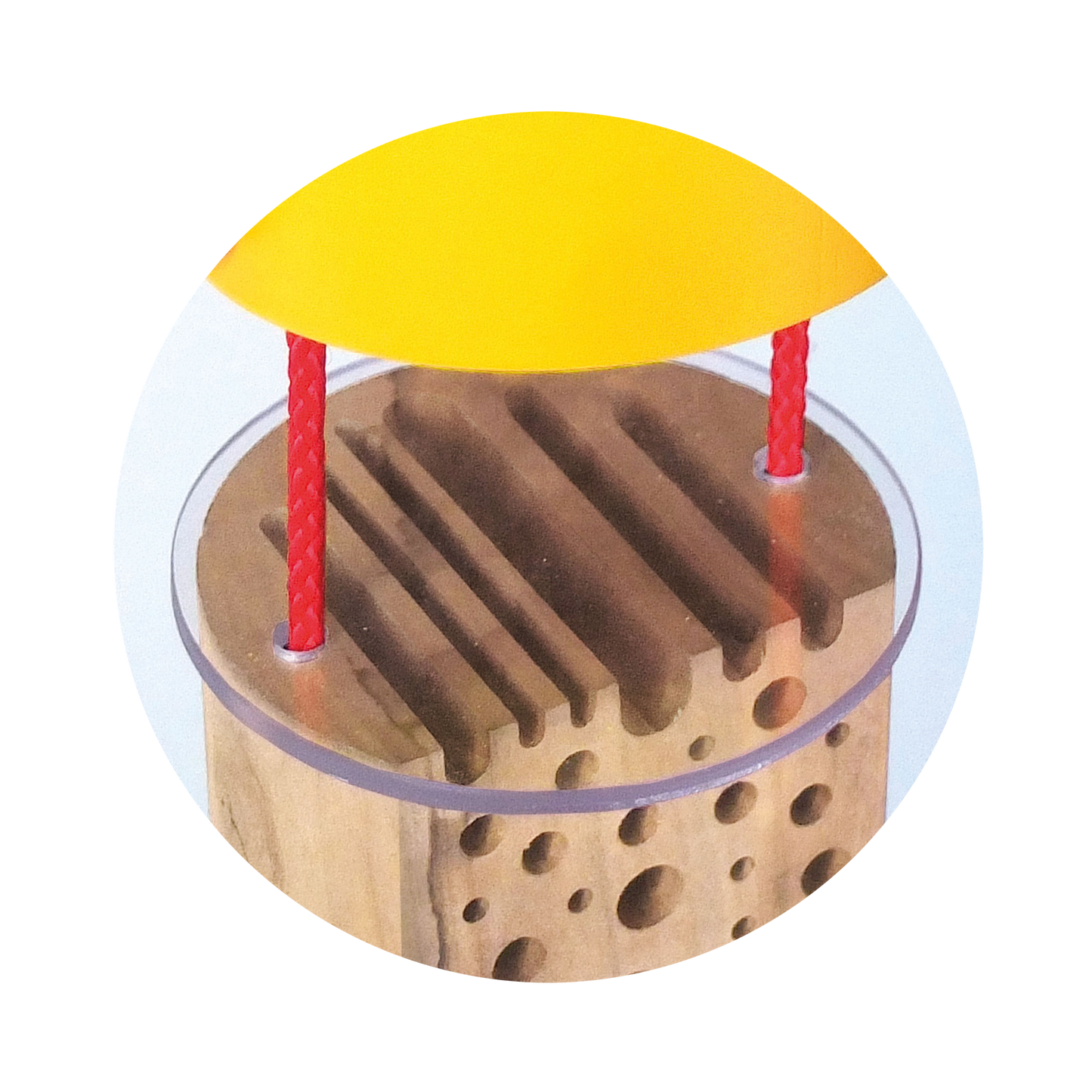 Insectenhotel