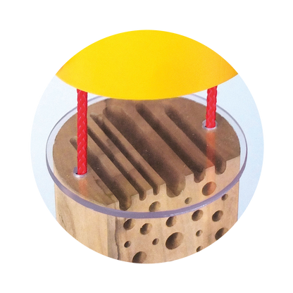 Insectenhotel
