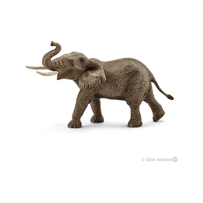 Afrikaanse olifant (genormaliseerd)