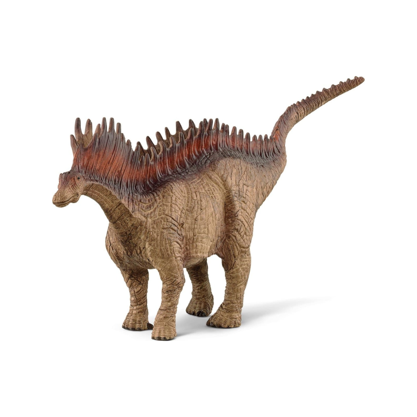 Amargasaurus (normalized)