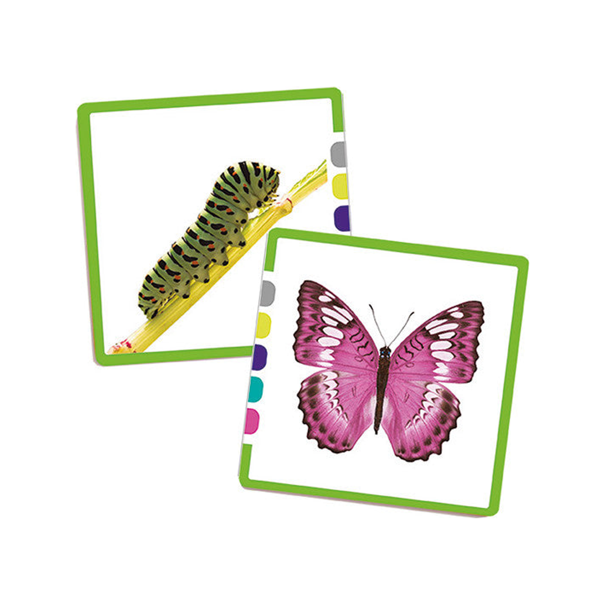 Associaties (genormaliseerd)
