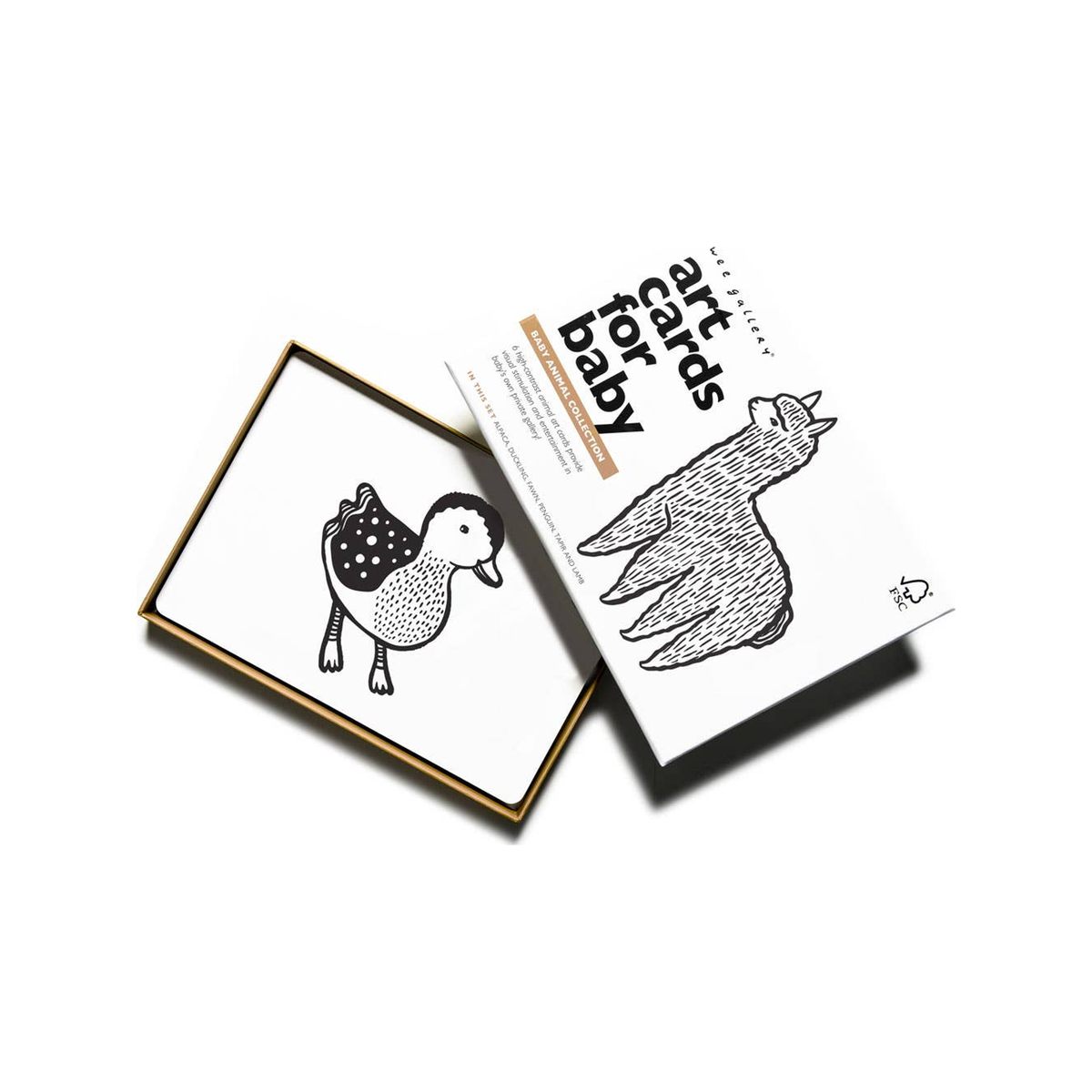 Baby Animal Art Cards (normalized)