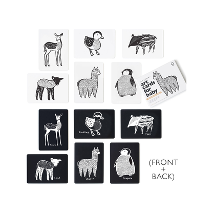 Baby Animal Art Cards (normalized)