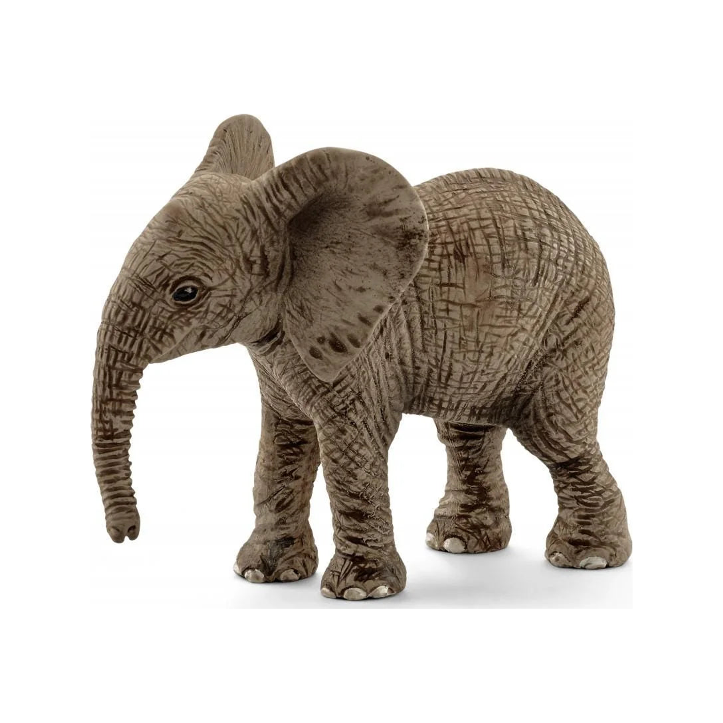 Baby Elephant (normalized)