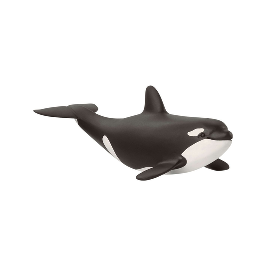Baby Orka (normalizado)