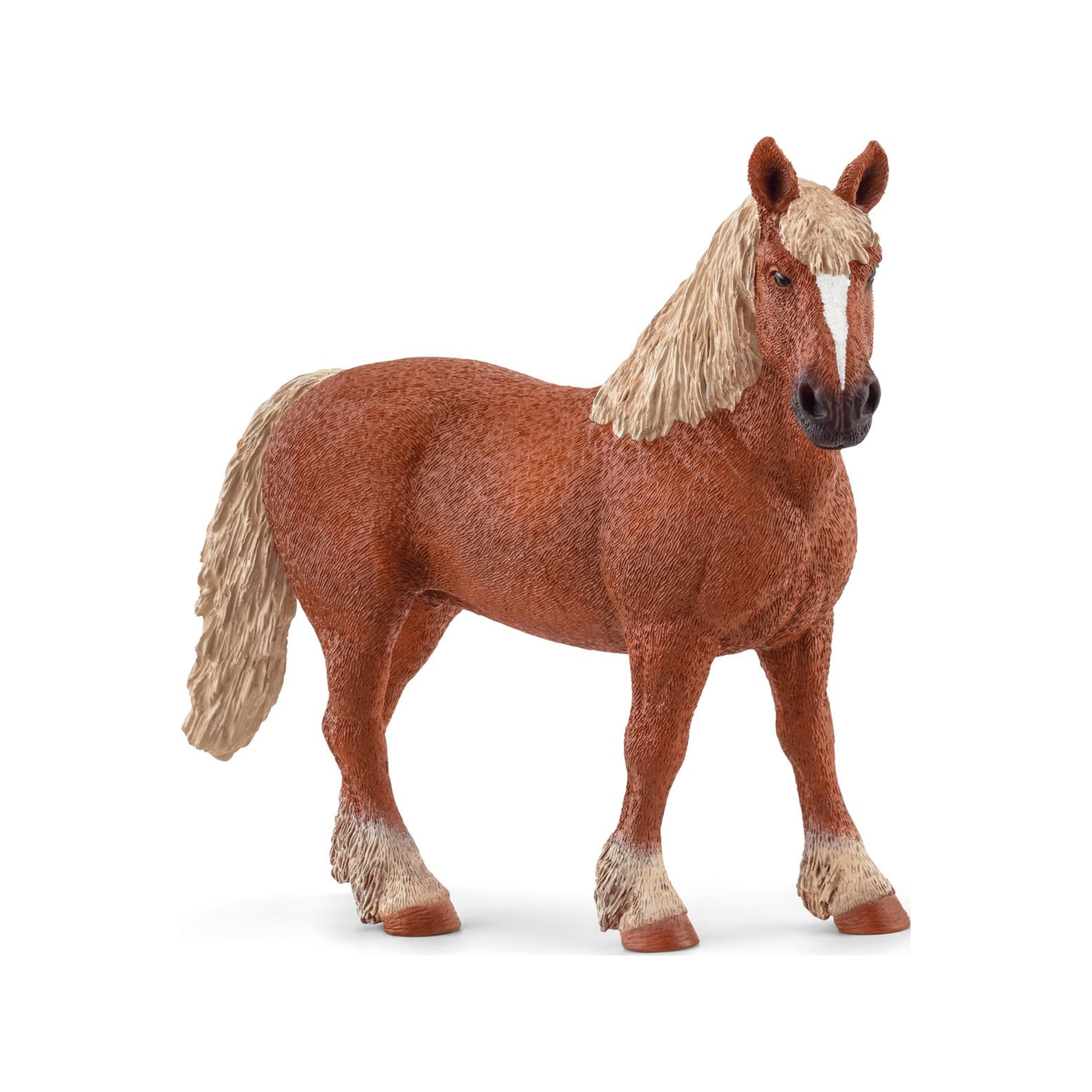 Caballo de tiro belga (normalizado)