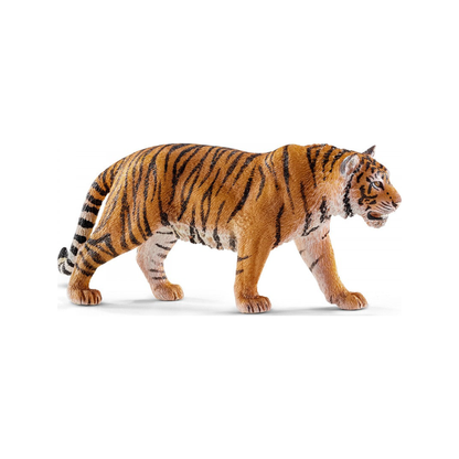 Bengaalse tijger (genormaliseerd)