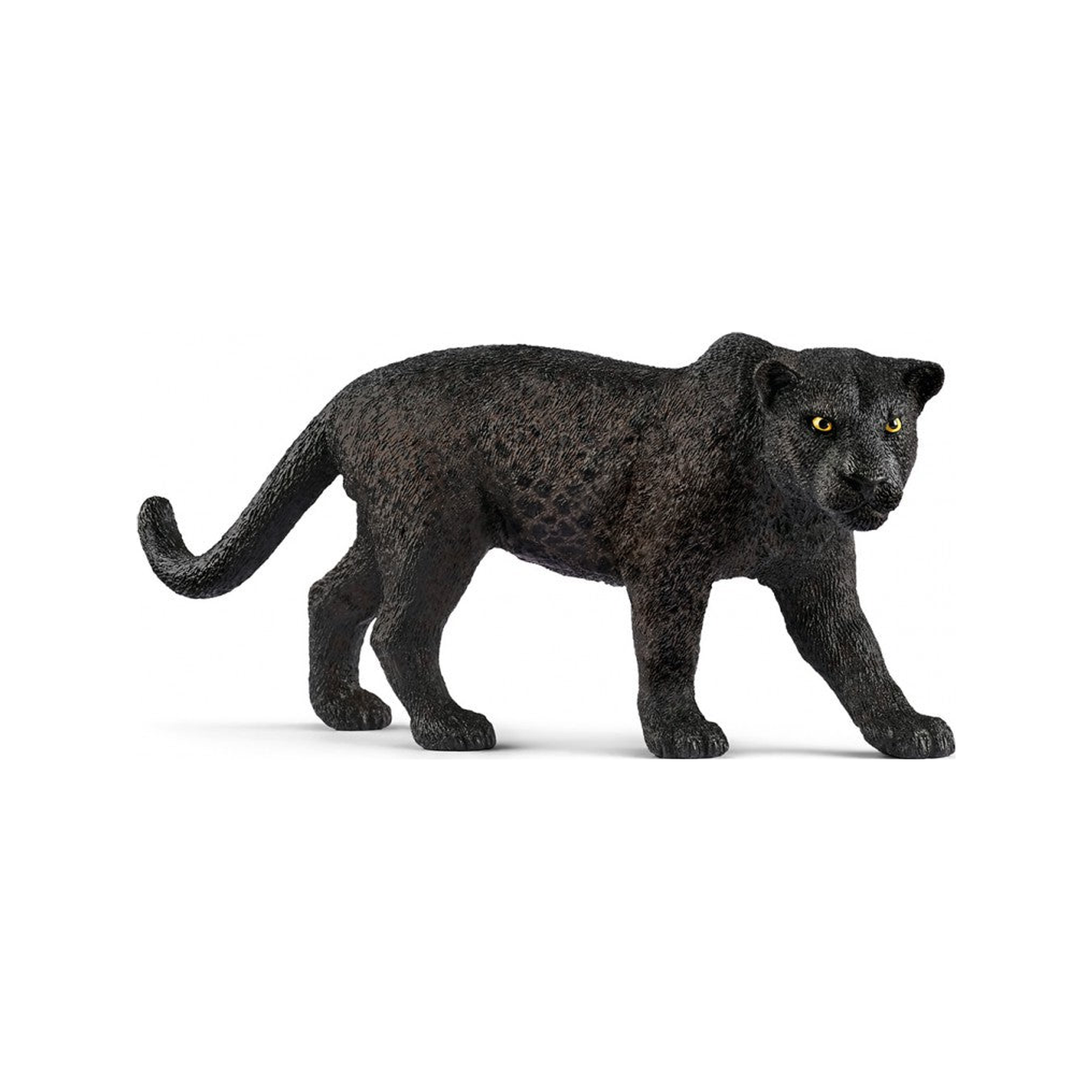 Zwarte panter (genormaliseerd)