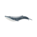 Blue whale (normalized)
