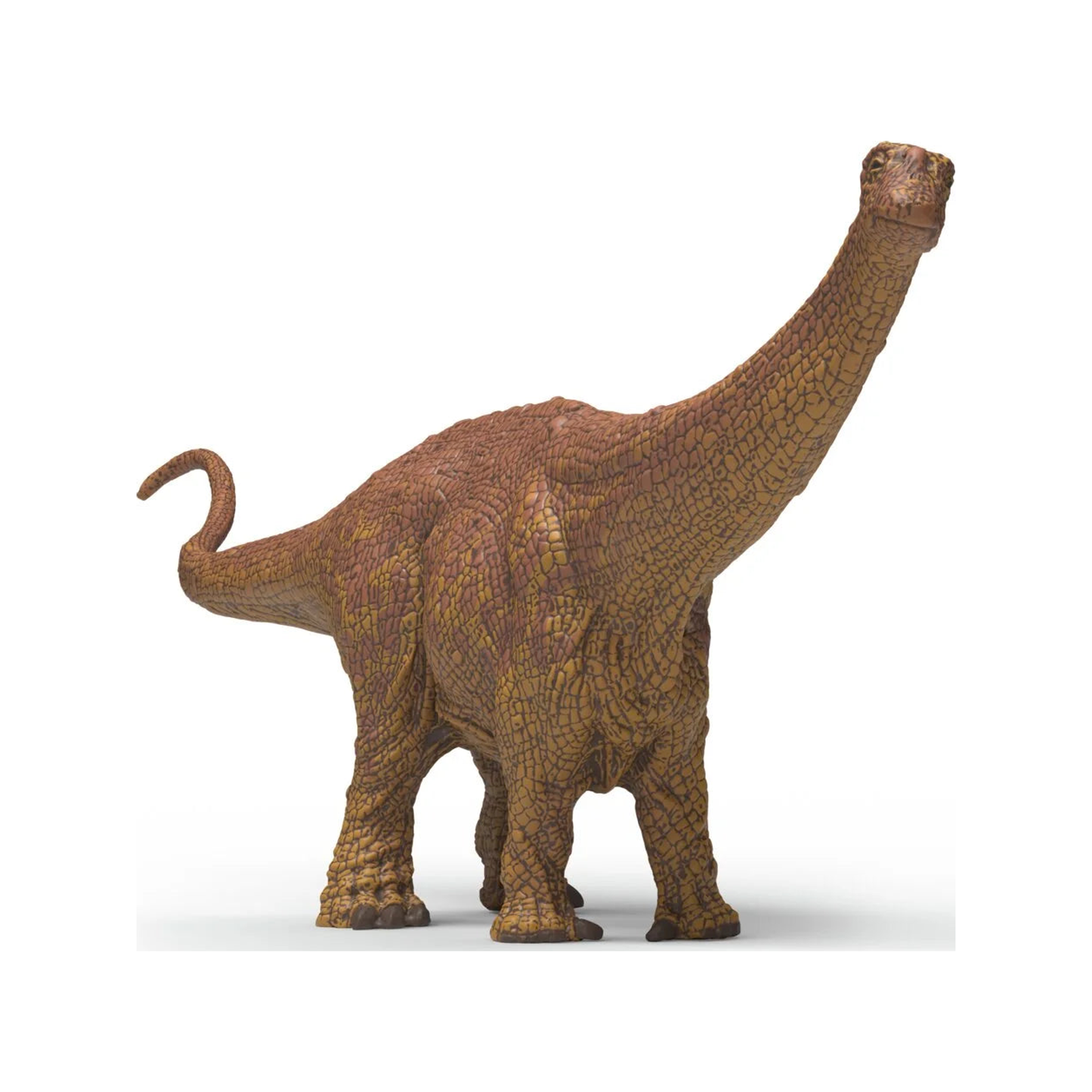 Brontosaurio (normalizado)