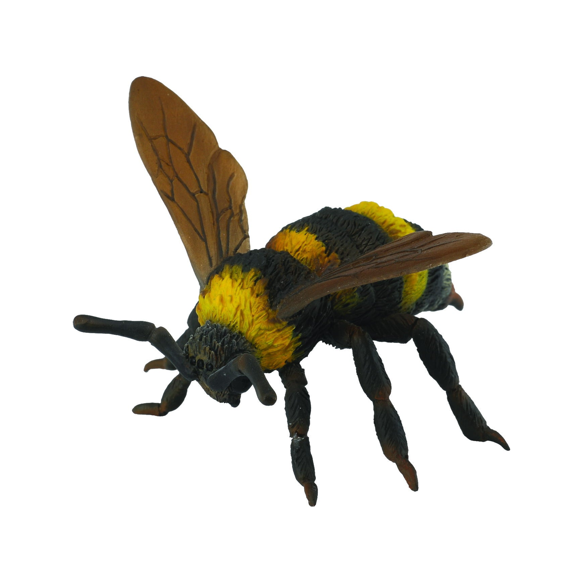 Bumble Bee (normalized)