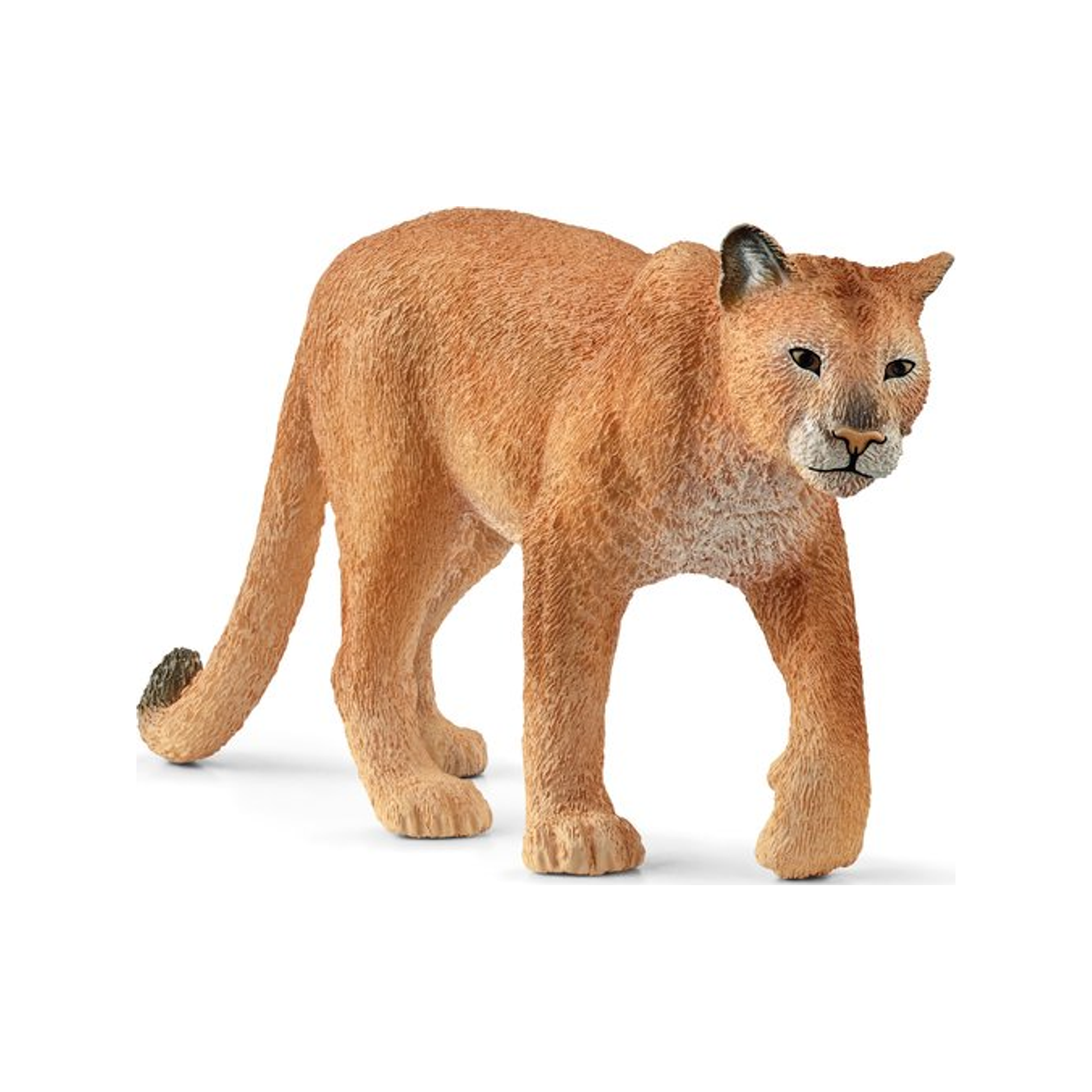 Puma (normalizado)