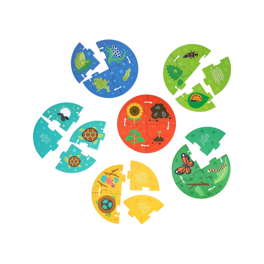 Discovery Puzzle: Life Cycle (normalized)