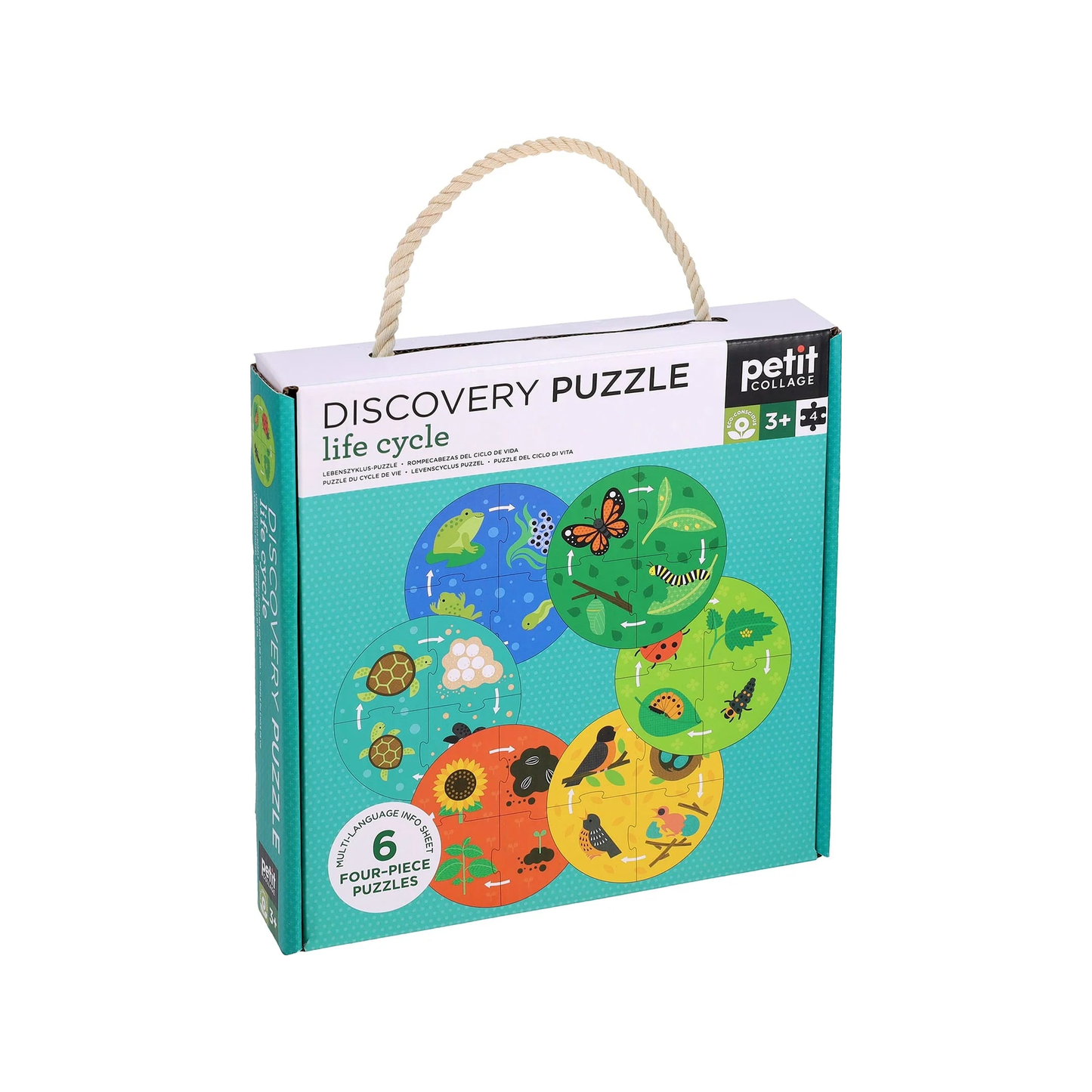 Puzzle Découverte : Cycle de vie (normalisé)