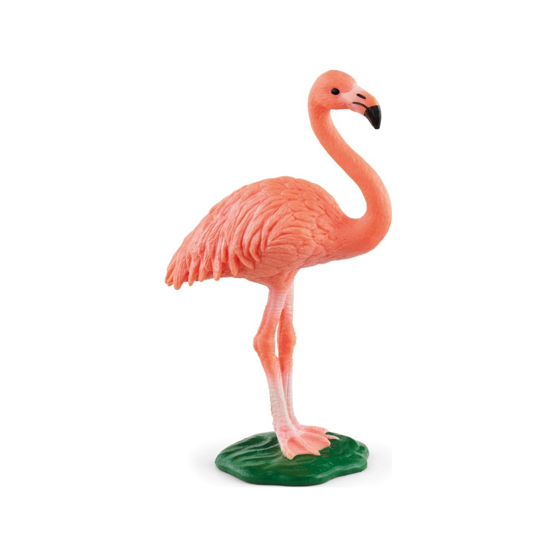 Flamant (normalisé)