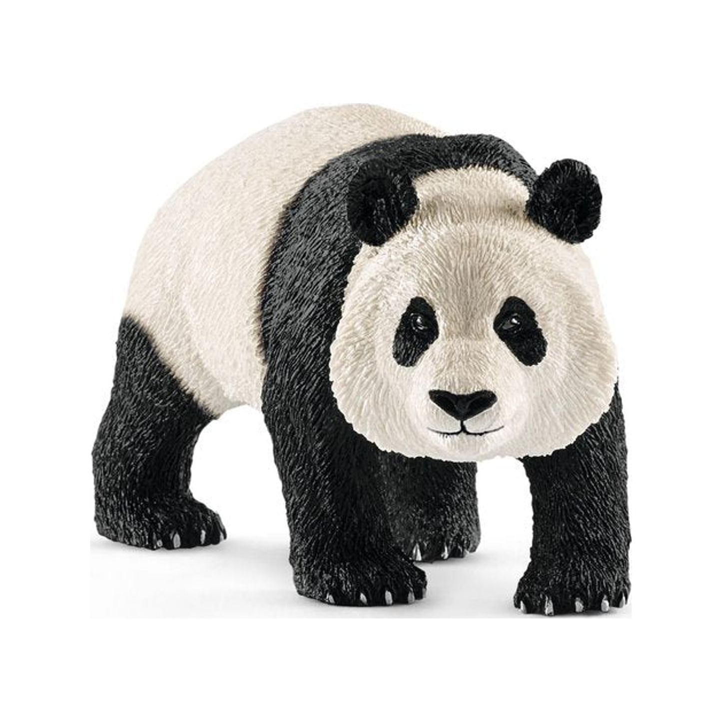 Reuzenpanda (genormaliseerd)