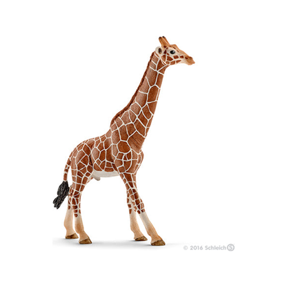 Giraffe (genormaliseerd)