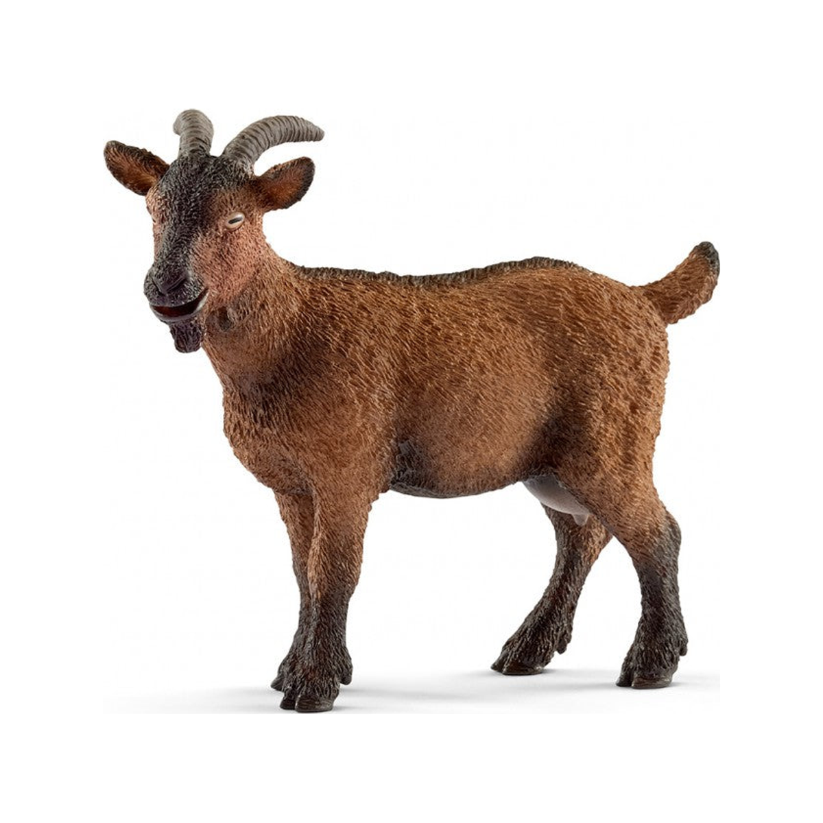 Cabra (normalizada)