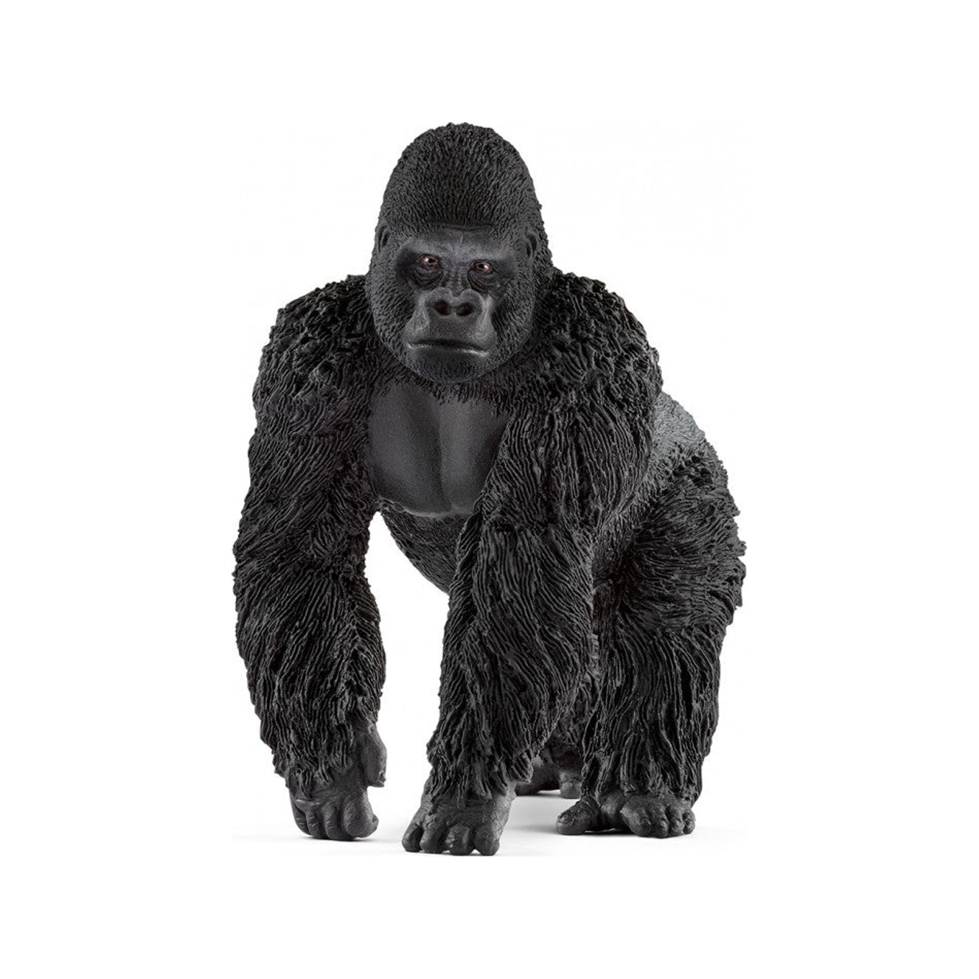 Gorilla (genormaliseerd)